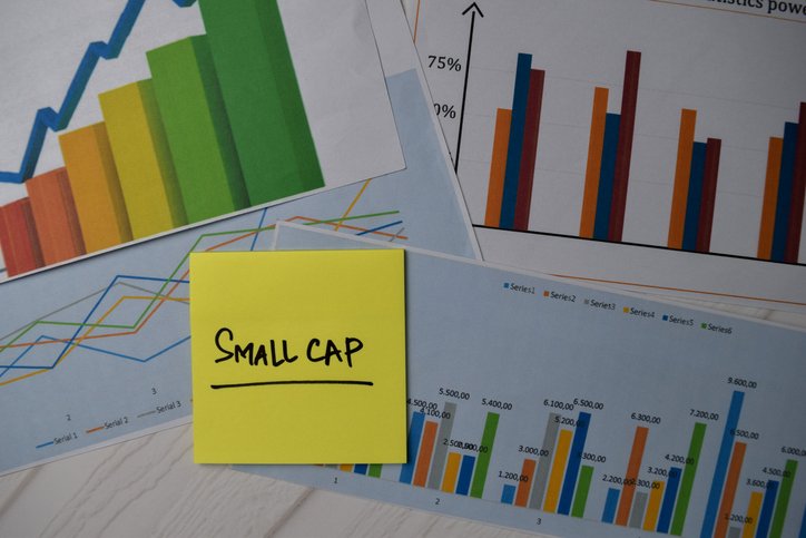 Diferença entre Small-Cap e Crescimento: Táticas e Ilustrações